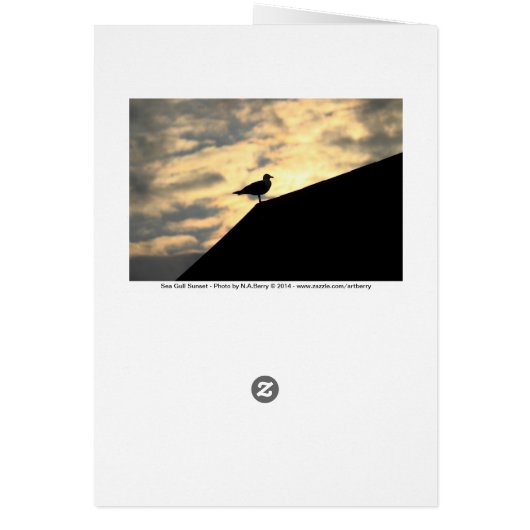 Sea Gull Sunset (Back)