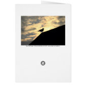 Sea Gull Sunset Cards (Back)