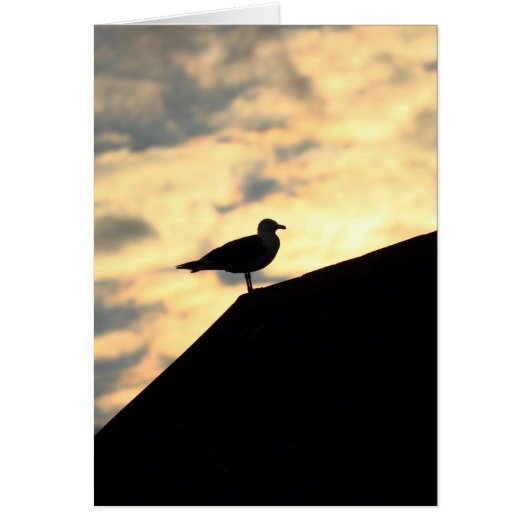 Sea Gull Sunset Cards (Front)