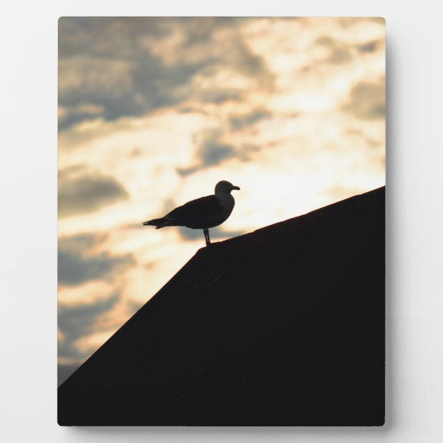 Sea Gull Sunset Plaque (Front)