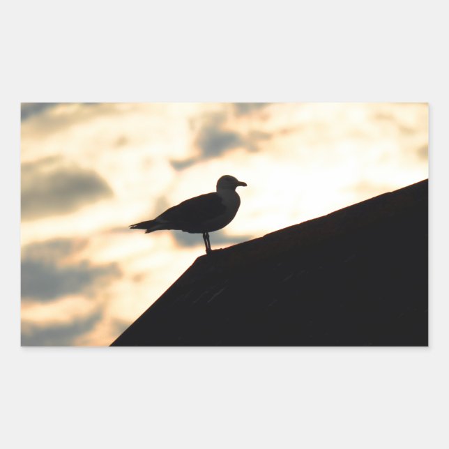 Sea Gull Sunset Rectangular Sticker (Front)