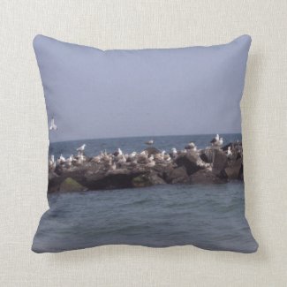 Sea Gulls At The Seashore