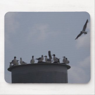 Sea Gulls Gathered, One in Flight Mouse Pad