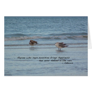 Sea Gulls in Naples, Florida Cards