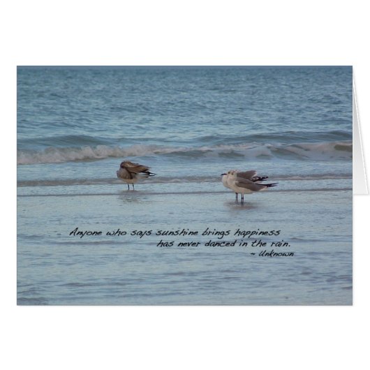 Sea Gulls in Naples, Florida Cards (Front Horizontal)