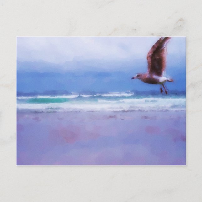 Sea Gypsy Postcard (Front)