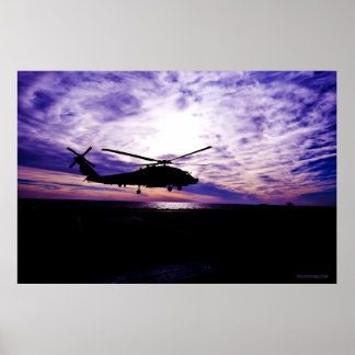 Sea Hawk Landing at Sunset Poster