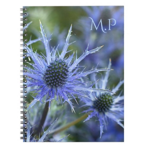 Sea Holly Thistle Monogram Notebook