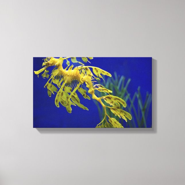 Sea horse canvas print (Front)