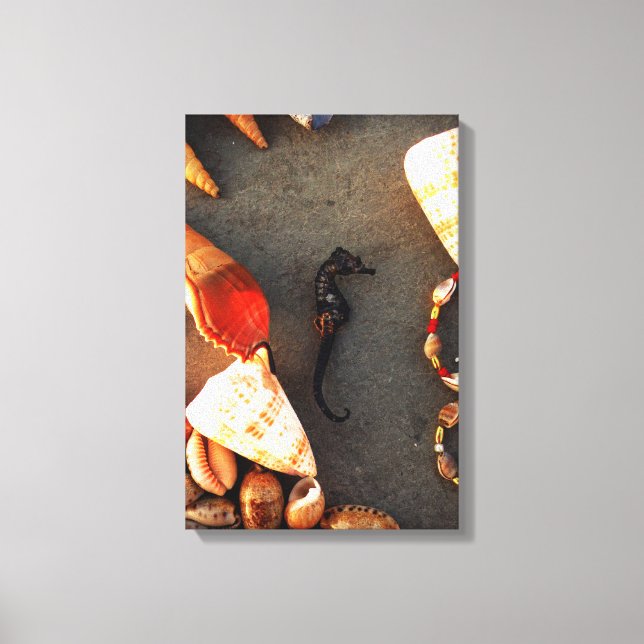 Sea Horse Canvas Print (Front)