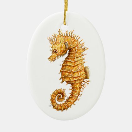 Sea horse Hippocampus hippocampus Ceramic Ornament