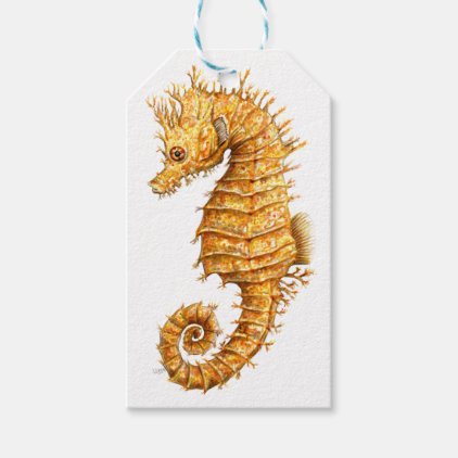 Sea horse Hippocampus hippocampus Gift Tags