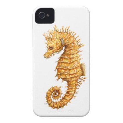 Sea horse Hippocampus hippocampus iPhone 4 Case-Mate Case