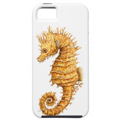 Sea horse Hippocampus hippocampus iPhone SE/5/5s Case