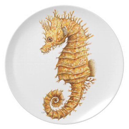 Sea horse Hippocampus hippocampus Melamine Plate