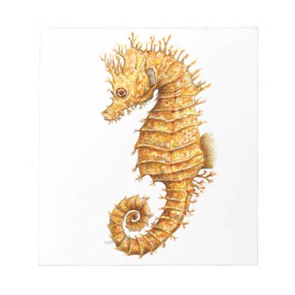 Sea horse Hippocampus hippocampus Notepad