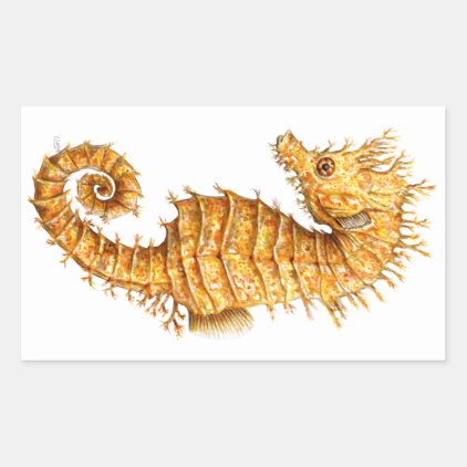 Sea horse Hippocampus hippocampus Rectangular Sticker