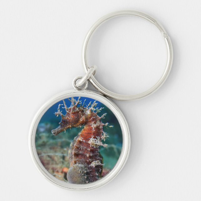 Sea Horse | Hippocampus Ramulosus Keychain (Front)