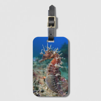 Sea Horse | Hippocampus Ramulosus Luggage Tag