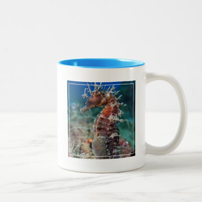 Sea Horse | Hippocampus Ramulosus Two-Tone Coffee Mug (Right)