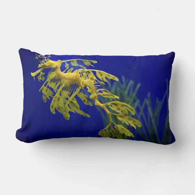 Sea horse lumbar pillow (Front)