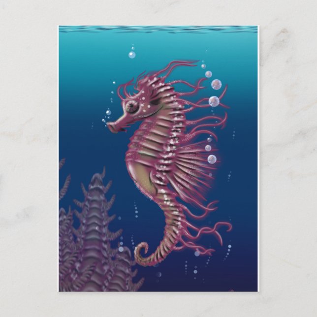Sea Horse Postcard (Front)