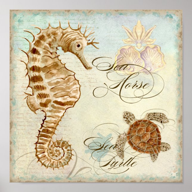 Sea Horse, Sea Turtle Coastal Beach - Fine Art Poster (Front)