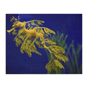Sea horse wood wall decor