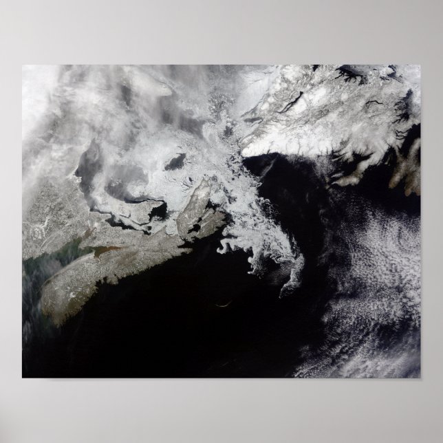 Sea ice fills the Gulf of St Lawrence Poster (Front)