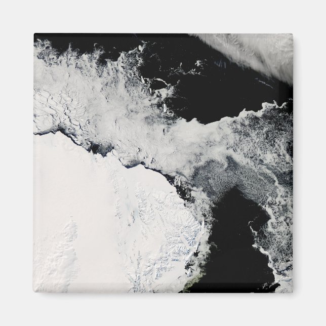 Sea ice in the Southern Ocean Magnet (Front)