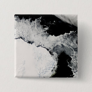 Sea ice in the Southern Ocean Pinback Button
