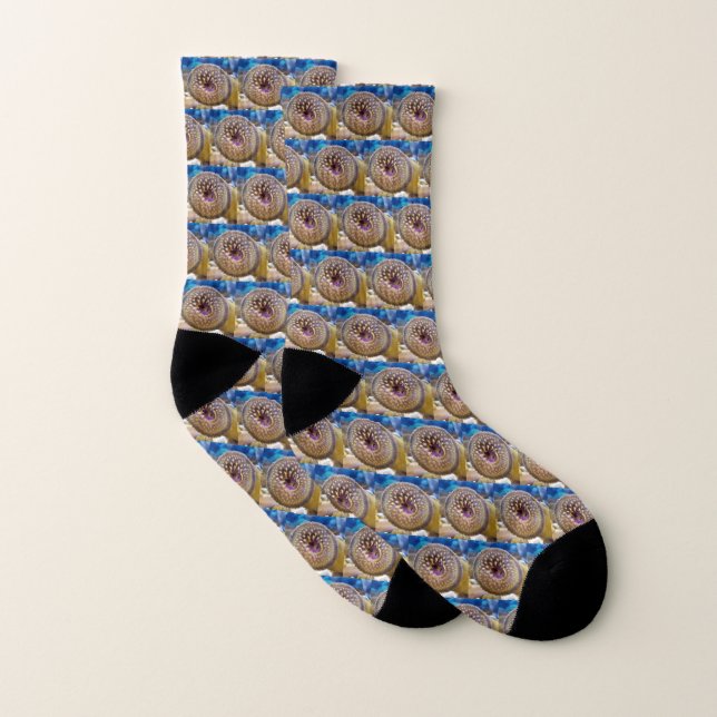 Sea Lamprey mouth Socks (Pair)