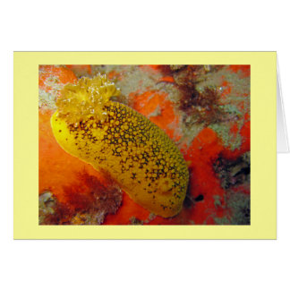 Sea Lemon Cards