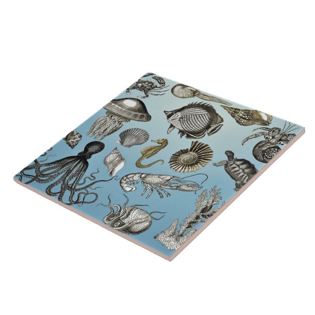 Sea Life  Ceramic Tile (Side)