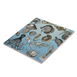 Sea Life  Ceramic Tile