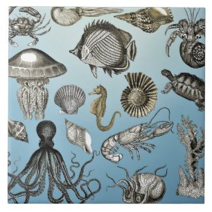 Sea Life Ceramic Tile