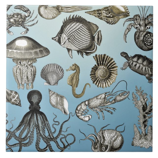 Sea Life  Ceramic Tile (Front)