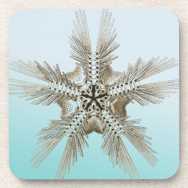 Sea life drink coaster (Front)