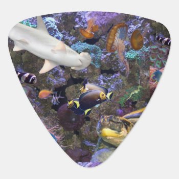 Sea Life Guitar Picks by ADHGraphicDesign at Zazzle