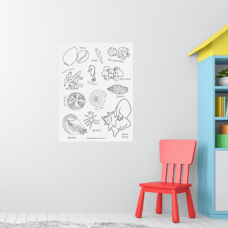 Sea Life Hand Drawn Black and White Poster