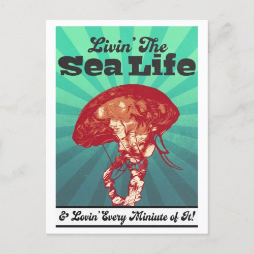 Sea Life Jellyfish Postcard