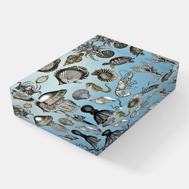 Sea Life  Paperweight (Angled)