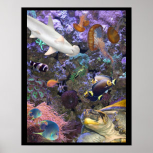 Sea Life Poster
