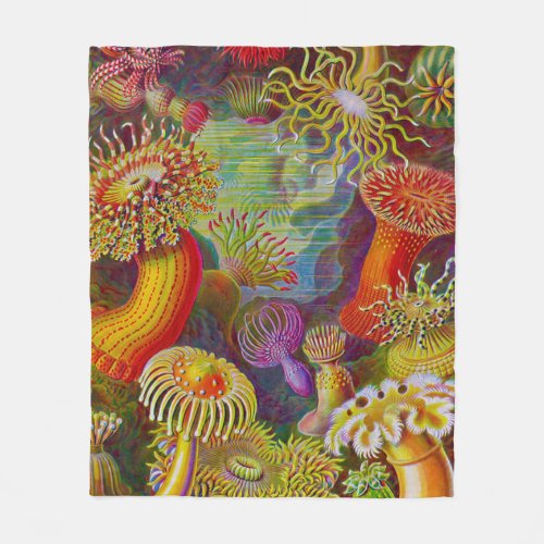 Sea Life Scientific illustration Poster Fleece Blanket