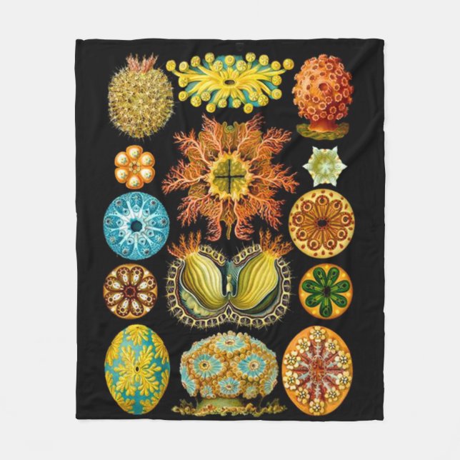 sea life sea creatures print fleece blanket (Front)