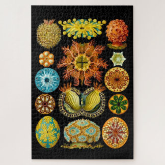 sea life sea creatures print jigsaw puzzle