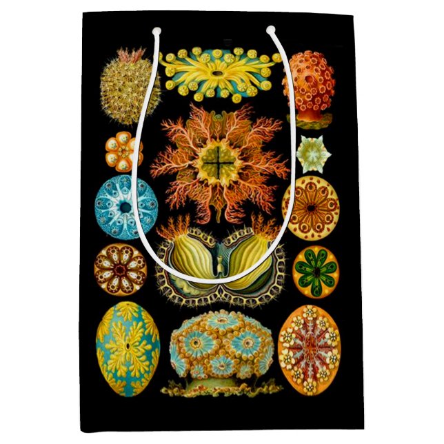 sea life sea creatures print medium gift bag (Front)