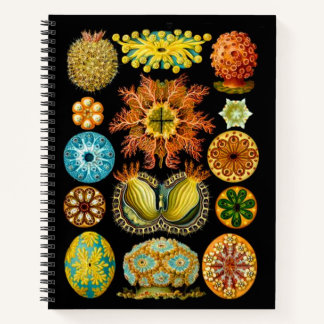 sea life sea creatures print notebook
