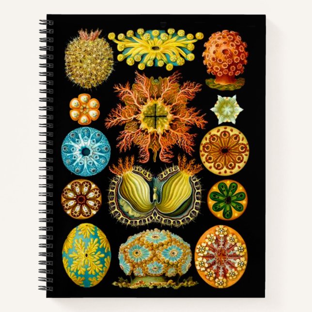 sea life sea creatures print notebook (Front)