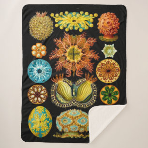sea life sea creatures print sherpa blanket